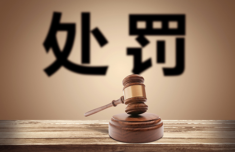 中華人民共和國(guó)海關(guān)行政處罰實(shí)施條例