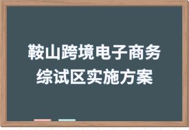 打造跨境電子商務直播之城，中國（鞍山）跨境電子商務綜合試驗區(qū)實施方案印發(fā)