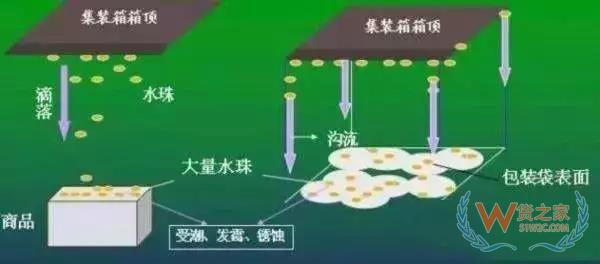 集裝箱里進水，誰的錯？如何預(yù)防應(yīng)對？貨之家